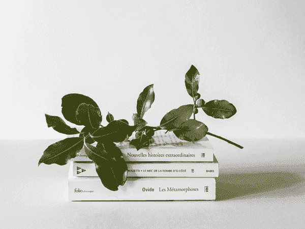 私密性极高的免费用虚拟号码发电话